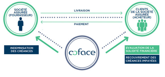 Portails web - Site internet - Assurance-Crédit internationale COFACE